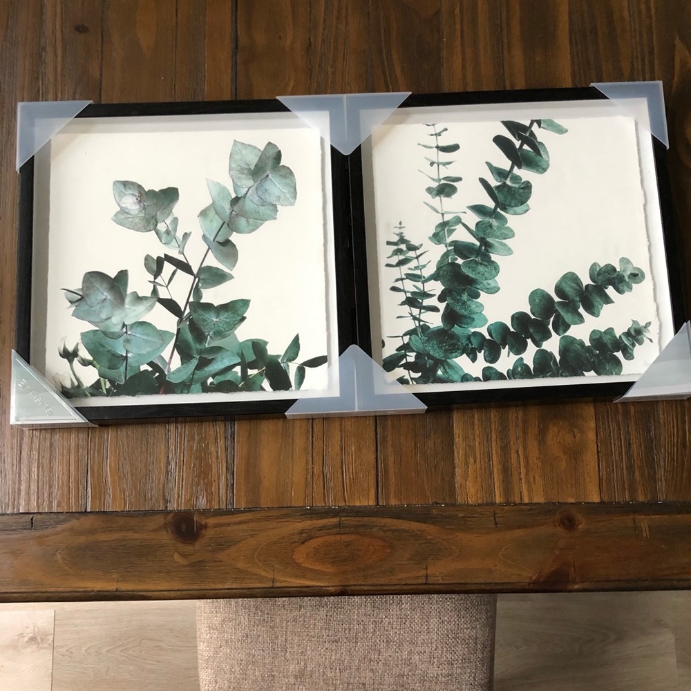 2 New Framed Botanical Prints